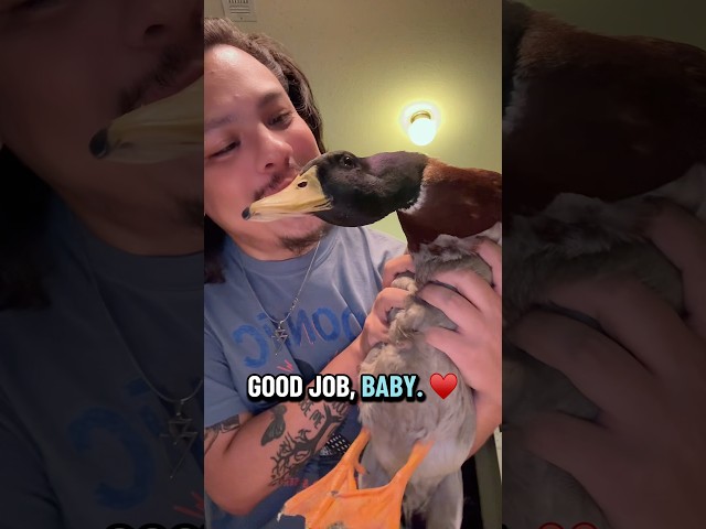 Introducing Daisy Duck! ♥️ 🦆