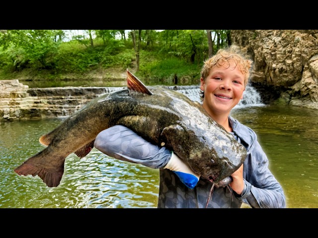 Flathead Catfish Catch, Clean, and Cook!