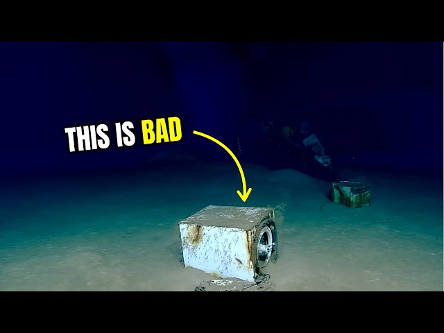 What NOAA Found In The Gulf Of Mexico Shouldn't Be There