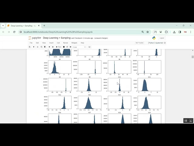 Credit Card PSO using DL in Python Projects