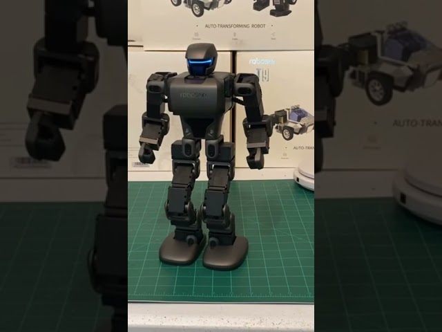 Walking robot 🤖