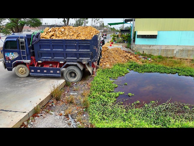 Perfectly! Processing New Landfill Job! Using Dump Truck 5Ton & powerful Dozer Fill Soil new Lot! 