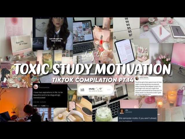 TOXIC STUDY MOTIVATION | Tik Tok Compilation #14 #studymotivation #toxicmotivation #studytok