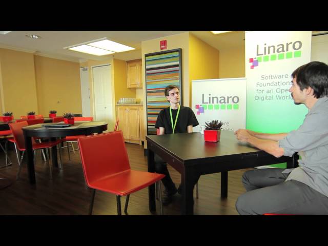 Måns Rullgård, Optimizing for Linux on ARM