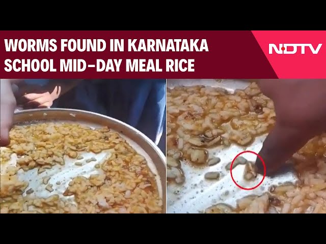 Mid-Day Meal Row | Mid-Day Meal Shocker in Karnataka: Worm-Infested Rice Found In Schools