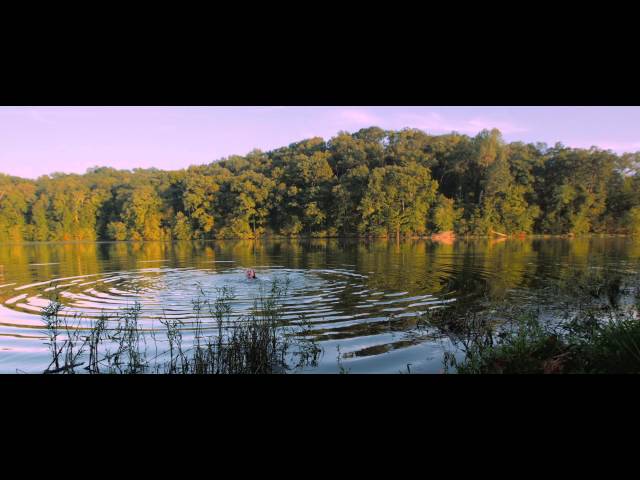 Noah Gundersen - Ledges (Official Video)
