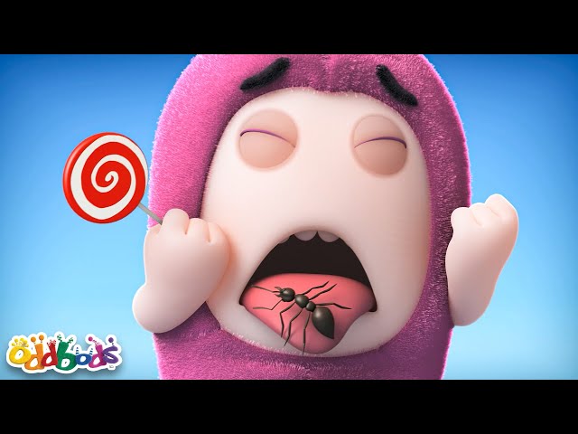 Formiche 🐜 | Cartoni Animati 📺 | Video divertenti | Oddbods Italia