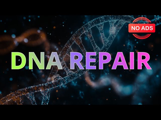 528Hz Miracle Frequency | DNA Repair & Deep Emotional Healing | Full Body Regeneration LIVE (NO ADS)