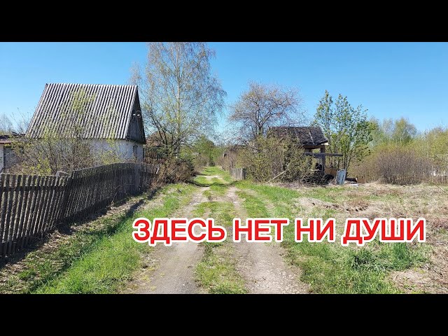 Мёртвая деревня | Живая земля