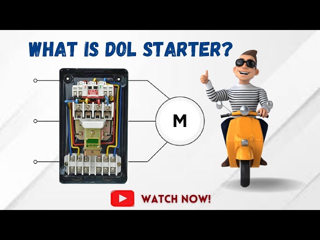 What is DOL Starter : A Professional Overview