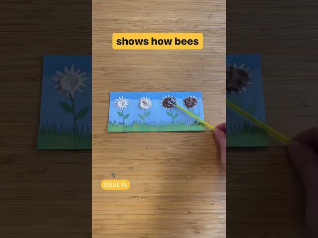 Teach how bees pollinate flowers with this easy experiment for kids