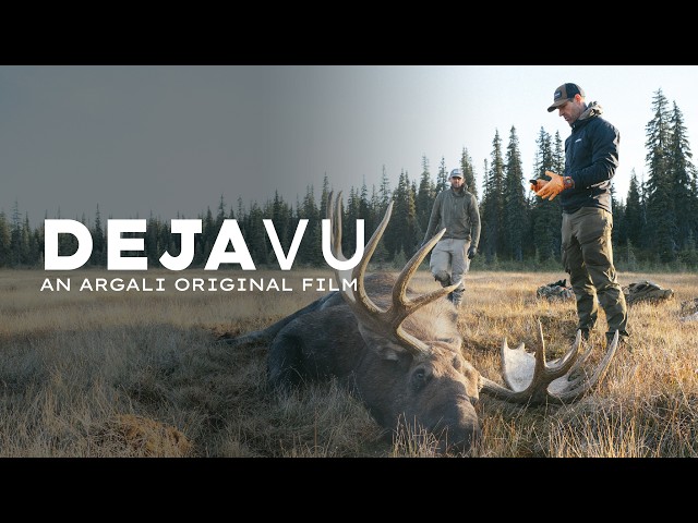 HUNTING ALASKA MOOSE | AN ARGALI ORIGINAL FILM