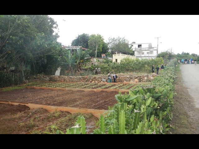 Permaculture, Cuba and the IUCN