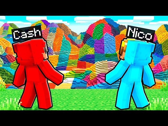 Minecraft, but EVERY CHUNK is RANDOM!