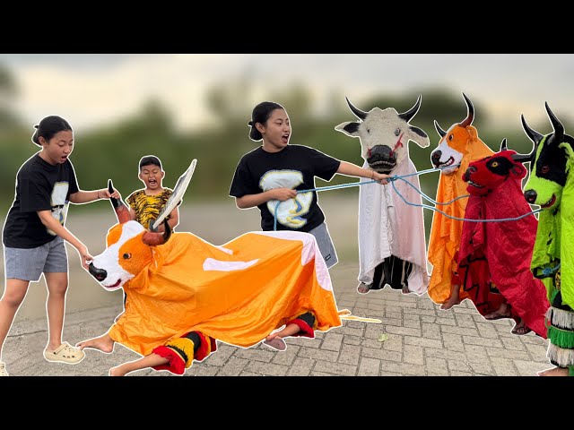 Drama lucu ngakak pool | KAK RACEL DAN VICHO MENCARI SAPI KURBAN YANG HILANG 