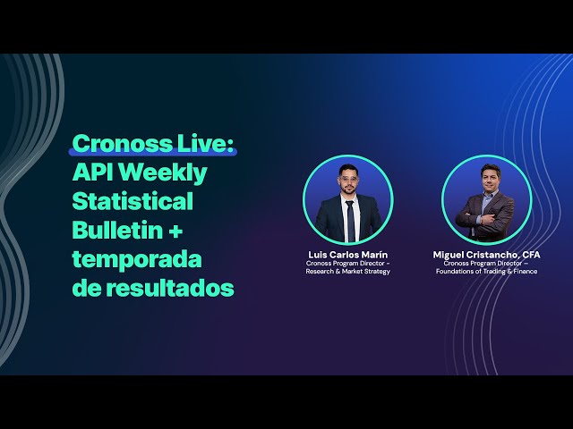 API Weekly Statistical Bulletin + temporada de resultados: Ally Financial Inc (ALLY)