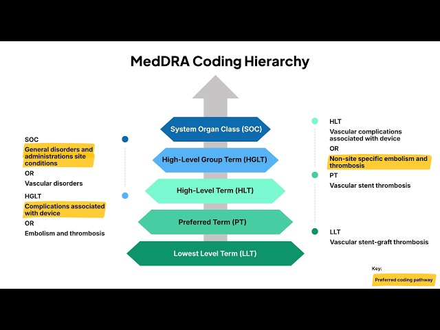 MedDRA Hierarchy Explained | Pharmacovigilance | SAS Programming | Clinical Research