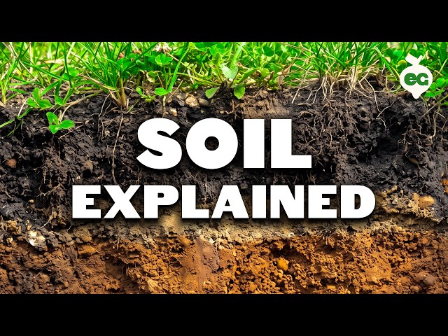 The Only Soil Video You Ever Need To Watch