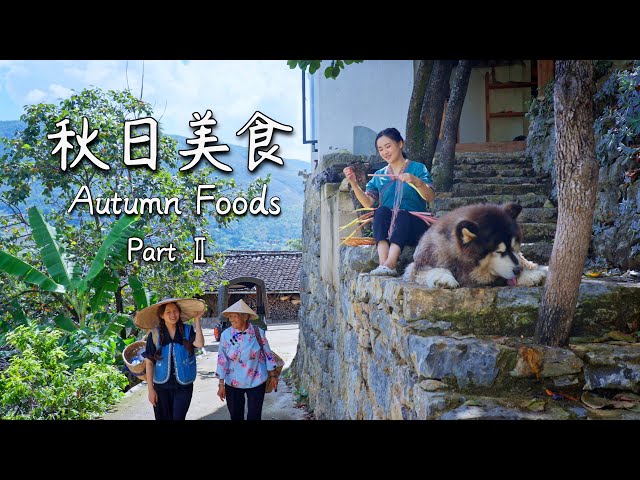 A Journey Through Autumn Flavors | Traditional Chinese Seasonal Foods Part 2【滇西小哥】