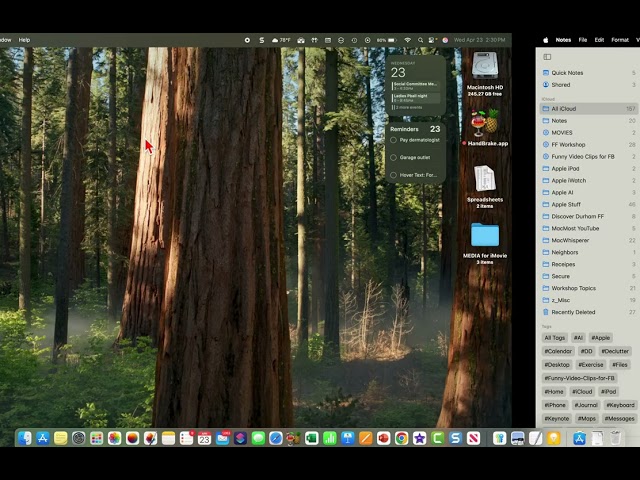 Using Tags, Folders, Bullets and Text Styles in Apple Notes