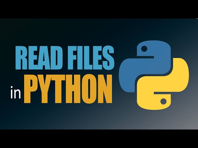 How to read files in python