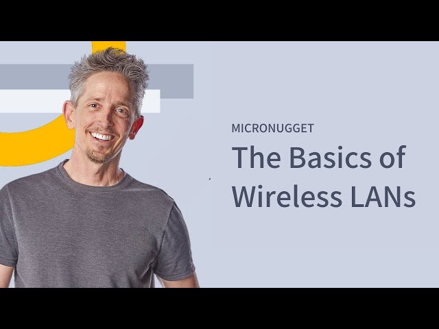 The Basics of Wireless LANs
