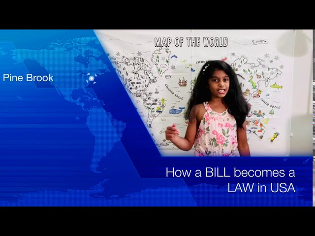 How a BILL Becomes a LAW in the USA (By:Varshini)