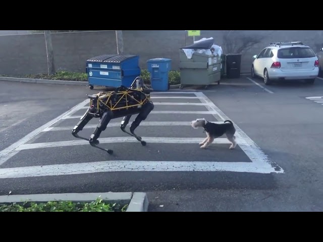The Evolution of boston dynamics