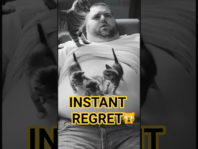 He Had No Idea What Was Coming #shorts #catsofshorts #funnycats