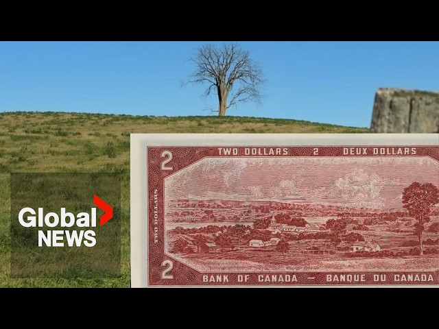Pride of Canada: Iconic tree soon to meet same end as the $2 bill it shares fame with