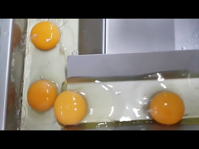 EGG BREAKERS