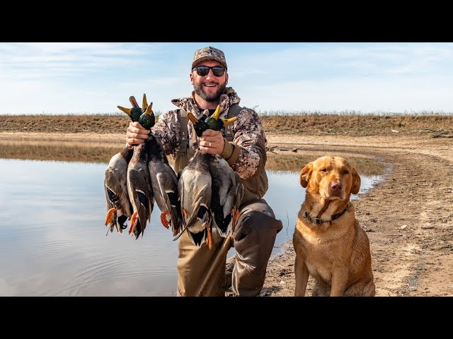 OPENING DAY DUCK HUNTING FARM POND MALLARDS!!