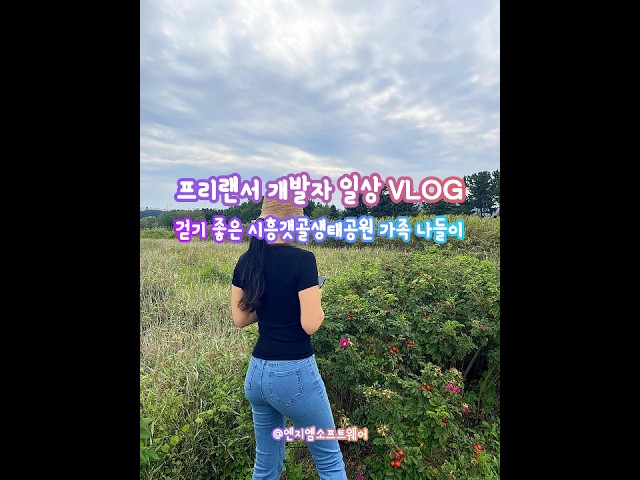 Places to visit in Gyeonggi-do: Siheung Gaetgol Ecological Park, mudflats, seeing fiddler crabs a...