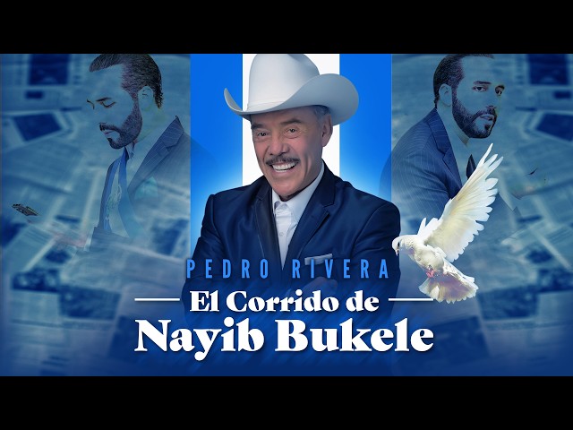 EL CORRIDO DE NAYIB BUKELE - PEDRO RIVERA | PRESIDENTE DE EL SALVADOR