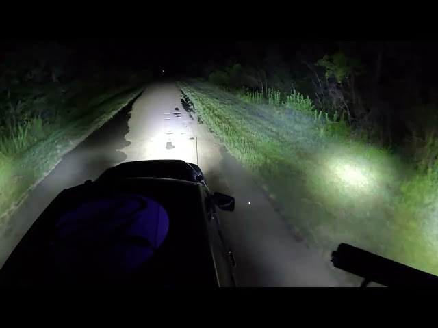 Python Hunting Experience 20-25Jul26 Everglades