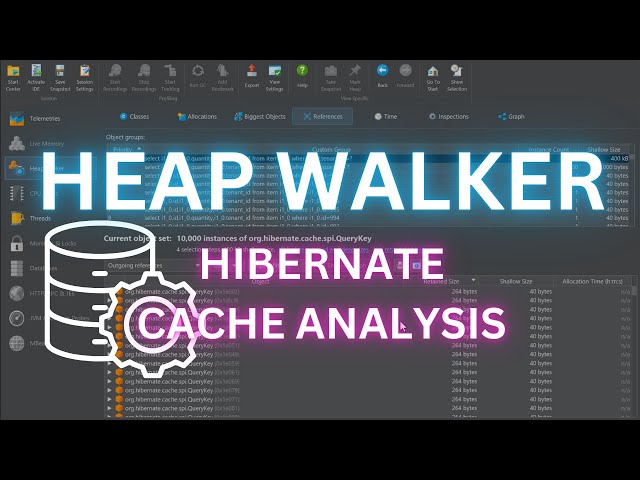 Heap Walker scripting for snapshot analysis