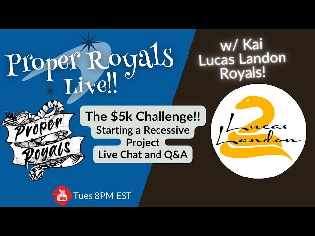 Starting a Recessive Ball Python Breeding Project - THE $5K CHALLENGE - Proper Royals Live!!