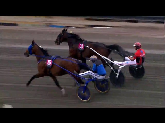 Timoko 2017