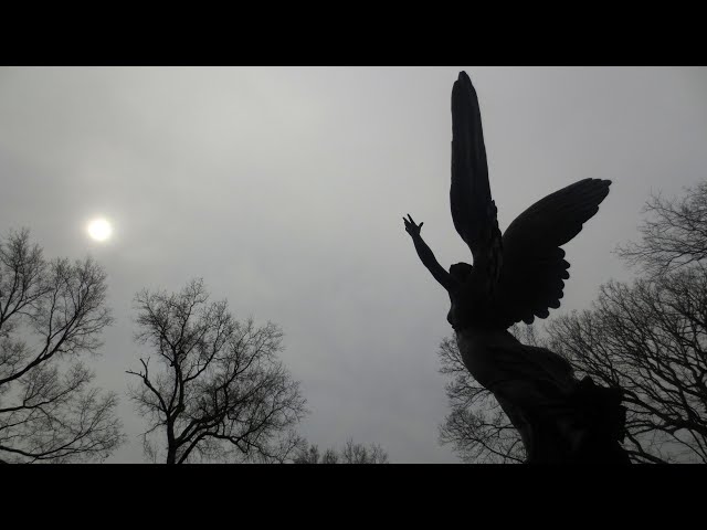 Jordan Maxwell | Paranormal Stories