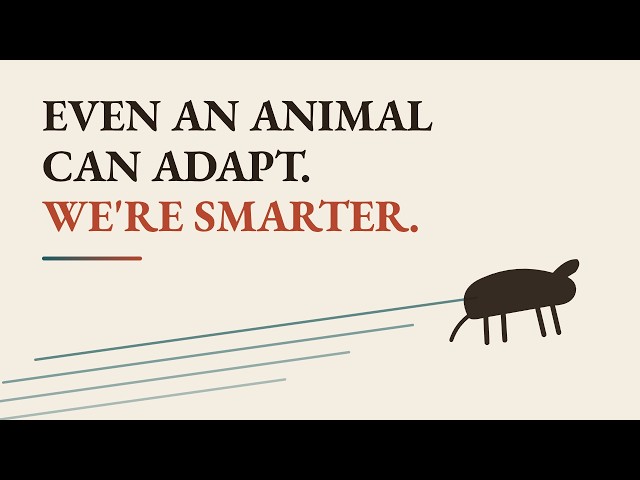 AI and education