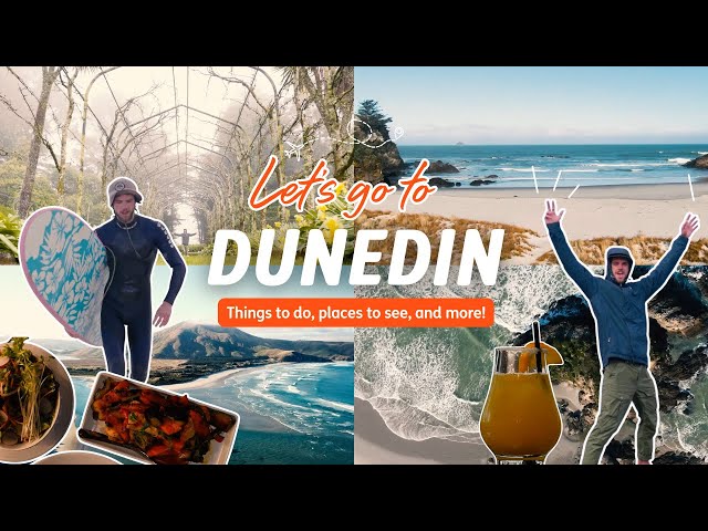 DUNEDIN | Exploring Dunedin Like A Local