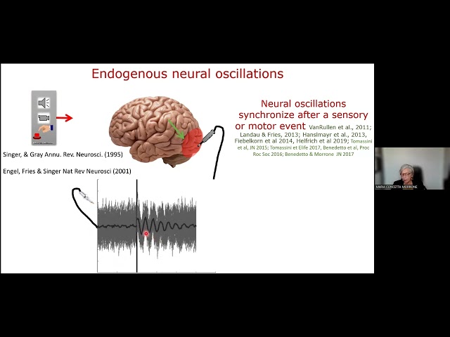 Prof Concetta Morrone on "Neuronal oscillations and prediction in perception"
