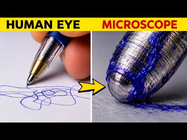 Hidden Things Only See Under a Microscope | Fact Galaxy 