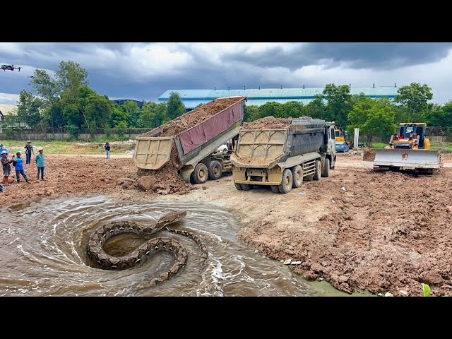 Bulldozer Rescue? Trapped Workers Face Monster Python!