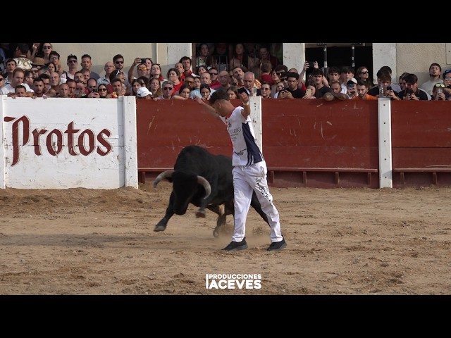 Peñafiel 2026 - Freestyle Bull Leaping Competition