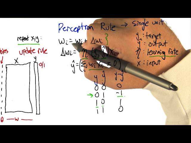Perceptron Training