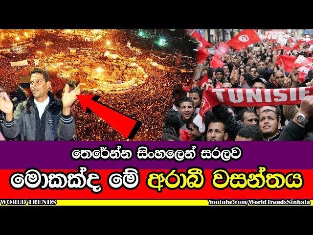 අරාබි වසන්තය කියන්නේ මොකක්ද? | What is the ARABIC SPRING in Sinhala Explanation