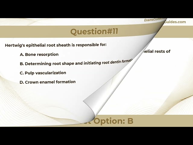 INBDE (Integrated National Board Dental Examination) 2026 New Practice Questions | Study Guide