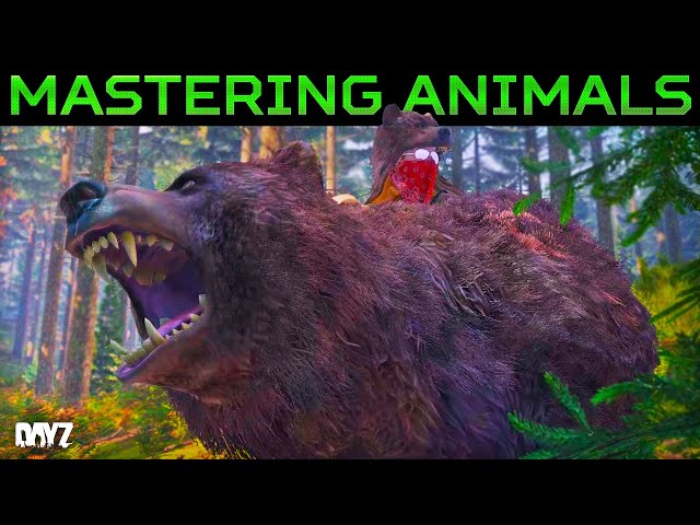 The Hidden Animal Path System of DayZ | A New Way to Hunt