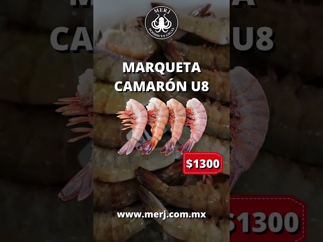 CAMARÓN DE TODAS LAS TALLAS